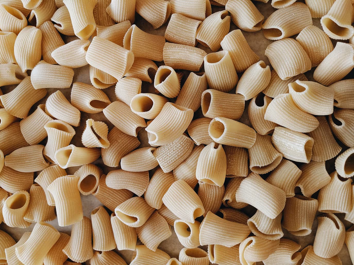 Fresh rigatoni pasta